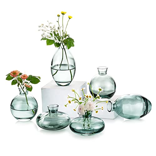 EylKoi Kleine Vasen füR Tischdeko Glas 2 Sätze(6 Stück) Grün Mini Vase Vintage Handmade Hydroponic Glasvase Blumenvase Modern Set Fuer Hochzeit Tischdeko, Zuhause Wohnzimmer Blumen Rose von EylKoi