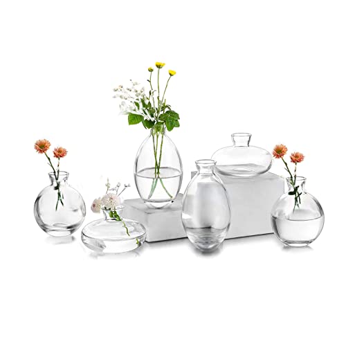 EylKoi Kleine Vasen füR Tischdeko Glas 2 Sätze(6 Stück) Transparent Mini Vase Vintage Handmade Hydroponic Glasvase Blumenvase Modern Set Fuer Hochzeit Tischdeko, Zuhause Wohnzimmer Blumen Rose von EylKoi