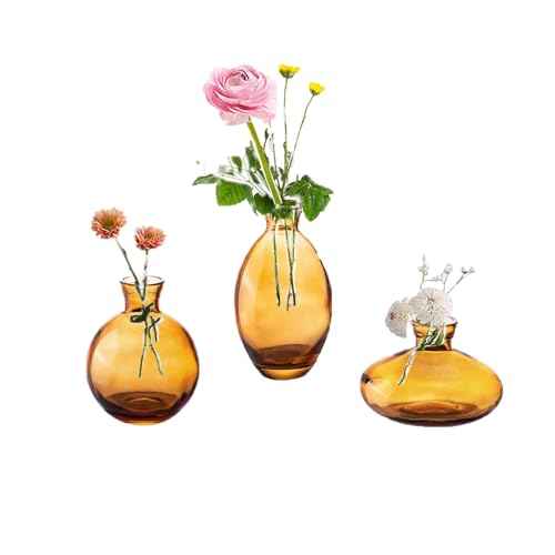 Kleine Vasen füR Tischdeko Glas - EylKoi 3 Stück/Satz Amberg Mini Vase Vintage Handmade Hydroponic Glasvase Blumenvase Modern Set Fuer Hochzeit Tischdeko, Zuhause Wohnzimmer Blumen Rose von EylKoi