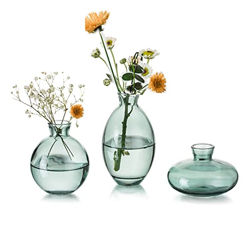 EylKoi Kleine Vasen füR Tischdeko Glas 3 Stück/Satz Grün Mini Vase Vintage Handmade Hydroponic Glasvase Blumenvase Modern Set Fuer Hochzeit Tischdeko, Zuhause Wohnzimmer Blumen Rose von EylKoi