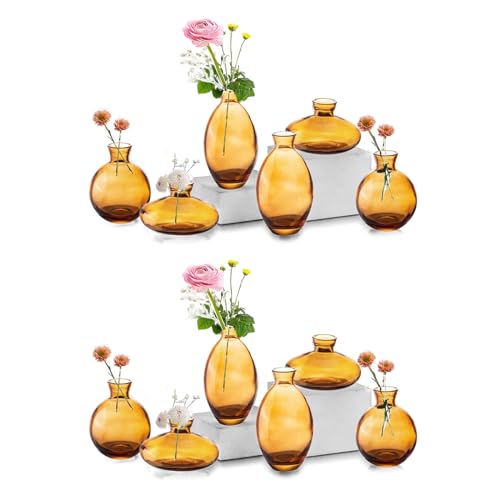 Kleine Vasen füR Tischdeko Glas - EylKoi 4 Sätze(12 Stück) Amberg Mini Vase Vintage Handmade Hydroponic Glasvase Blumenvase Modern Set Fuer Hochzeit Tischdeko, Zuhause Wohnzimmer Blumen Rose von EylKoi