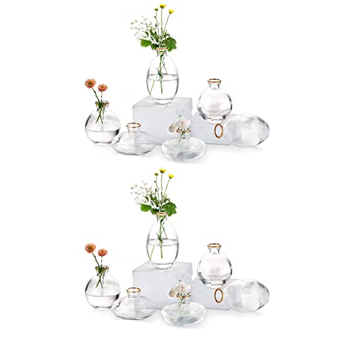 Kleine Vasen füR Tischdeko Glas - EylKoi 4 Sätze(12 Stück) Transparent mit Goldrand Mini Vase Vintage Handmade Hydroponic Glasvase Blumenvase Modern Set Hochzeit Tischdeko, Zuhause Wohnzimmer Blumen von EylKoi