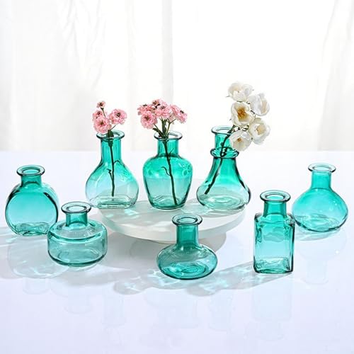 Kleines Glas Grün Vase Set von 8 EylKoi Bud Vasen in Bulk Mini Tiny Verschiedene Form Glatte Oberfläche Vintage Modern Niedlichfür Blumen Tisch Home Party Hochzeit Dekor Mittelstücke Esszimmer von EylKoi