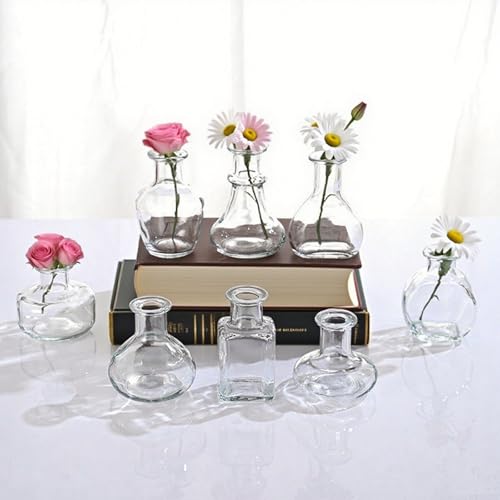 Kleines Glas Transparent Vase Set von 8 EylKoi Bud Vasen in Bulk Mini Tiny Verschiedene Form Glatte Oberfläche Vintage Modern Niedlichfür Blumen Tisch Home Party Hochzeit Dekor Mittelstücke Esszimmer von EylKoi