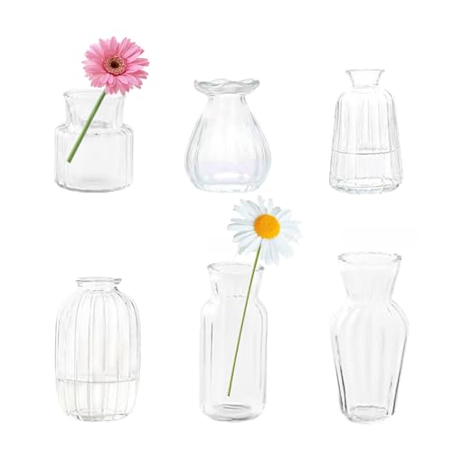 Kleines Glas klare vertikale Streifen Vase Bud Vasen in Bulk EylKoi Set von 6 verschiedenen Formen Vintage Mini Tiny Flower Vasen Modern Cute für Home Table Hochzeit Dekor Mittelstücke Party Esszimmer Kleines Glas klare vertikale Streifen Vase Bud Vasen in Bulk EylKoi Set von 6 verschiedenen Formen Vintage Mini Tiny Flower Vasen Modern Cute für Home Table Hochzeit Dekor Mittelstücke Party Esszimmer von EylKoi
