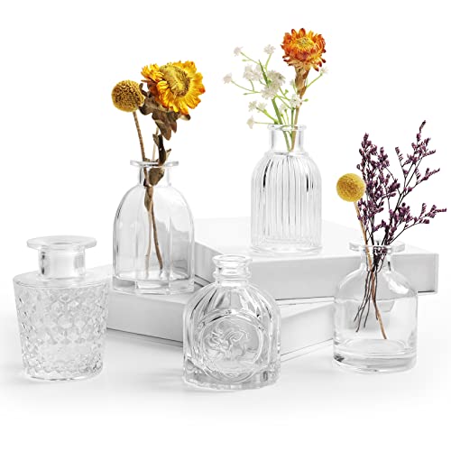 Mini Vasen Klare Kleine Vase Set von 5 EylKoi Bud in Bulk Kleines Glas Weiß Kristallines Material Unterschiedliche Form Moderne Niedlich Verschiedene Vintage für Blumen für Home Table Hochzeit Mini Vasen Klare Kleine Vase Set von 5 EylKoi Bud in Bulk Kleines Glas Weiß Kristallines Material Unterschiedliche Form Moderne Niedlich Verschiedene Vintage für Blumen für Home Table Hochzeit von EylKoi