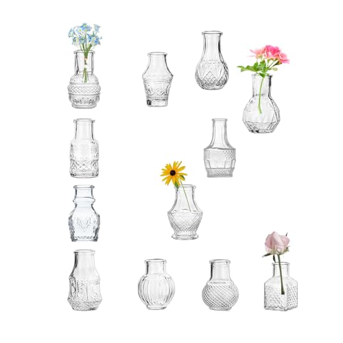 Transparente Glas Bud Vase Niedlich Mini Vasen 12Pcs EylKoi Blumen Vintage Kleines Glas Winzig in der Masse Verschiedene Form Modern Set Lovely für Dekor Tisch Hochzeit Home Tisch Dinning Party Transparente Glas Bud Vase Niedlich Mini Vasen 12Pcs EylKoi Blumen Vintage Kleines Glas Winzig in der Masse Verschiedene Form Modern Set Lovely für Dekor Tisch Hochzeit Home Tisch Dinning Party von EylKoi