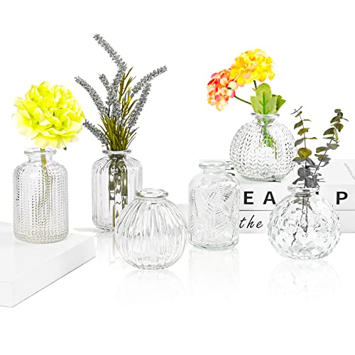 Vasen Klein Glas EylKoi - Vasen Klein Tischdeko 6 Teile/Satz Klar Verschiedene Formen Hochzeit, Mini Kleine Für Tischdeko Kleine Für Zuhause, Veranstaltungen Tisch, 4# von EylKoi