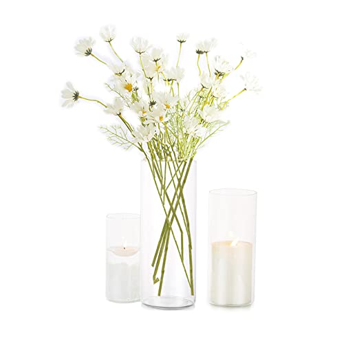 Zylindervase Bulk Klar Eylkoi - Kerzenhalter Glas Set Glaszylinder Mehrere GrößEn, 3 StüCk/Set Kleine Vasen füR Tischdeko, Vase füR Pampasgras Groß Tischdeko FüR Die Hochzeit, 15cm+20cm+25cm(Hoch) von EylKoi