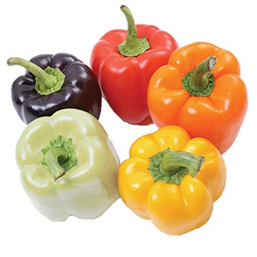 Bunte Chili-Paprika-Samen 50+ süße Paprika-Chili-Regenbogen-Mix-Samen Bio-gentechnikfreies grünes Gemüse Kräuter für Hausgarten Outdoor Yard Farm Planting von Eysii