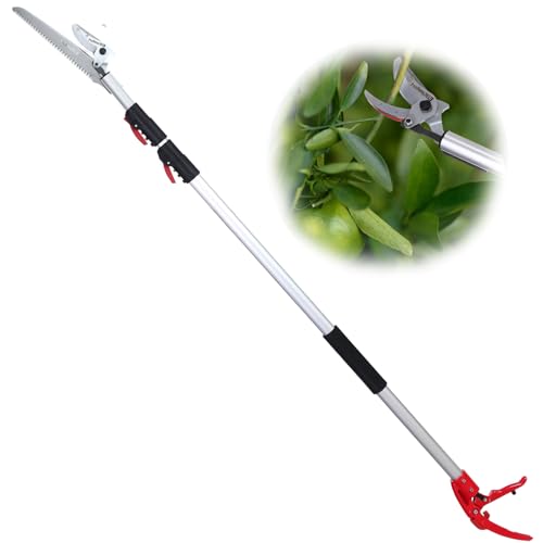 Ezkamfort Baumschere, 140 cm - 300 cm, Teleskop-Astschere mit langer Reichweite, robust, mit Ersatzklingen, ideal zum Entfernen von hohen Ästen und Obstpflücken Ezkamfort Baumschere, 140 cm - 300 cm, Teleskop-Astschere mit langer Reichweite, robust, mit Ersatzklingen, ideal zum Entfernen von hohen Ästen und Obstpflücken von EzKamfort