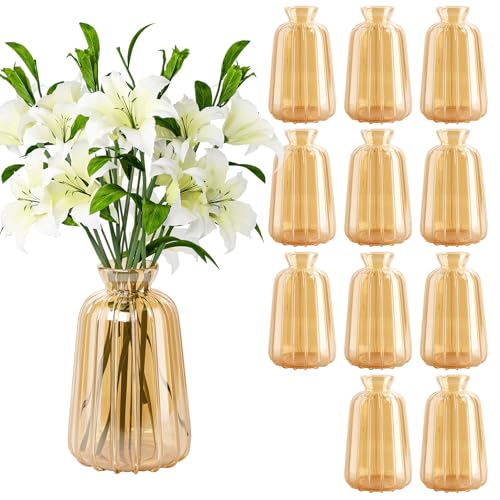 Ezvsevuo 12PCS Vase, Kleine Glasvasen Kleine Vasen für Tischdeko Hochzeit - Vintage Stil Deko Vasen Set - Mini Glasvasen für Tischdeko von Ezvsevuo