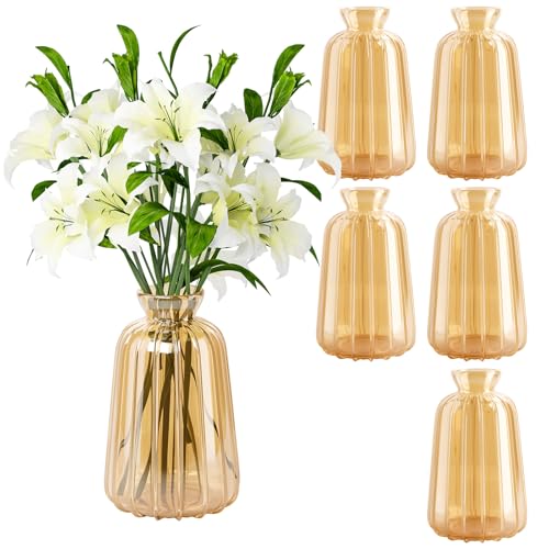 Ezvsevuo 6pcs Mini Vase, Kleine Glasvasen Kleine Vasen für Tischdeko Hochzeit - Vintage Stil Deko Vasen Set - Mini Glasvasen für Tischdeko von Ezvsevuo