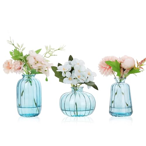 Ezvsevuo Glas Vase Kleine Vase, 3 Stück Kleine Glasvasen für Tischdeko Hochzeit, Deko Vasen Mini Vasen Modern Glasvase Set Transparent Vintage Blumenvase von Ezvsevuo