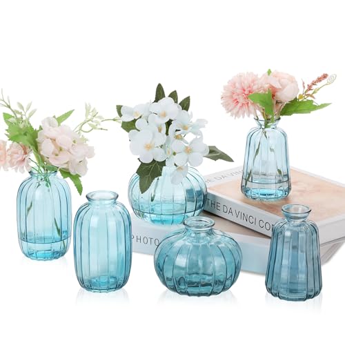 Ezvsevuo Vase 6pcs Kleine Vasen, Kleine Glasvasen für Tischdeko Hochzeit, Deko Vasen Mini Vasen Modern Glasvase Set Transparent Vintage Blumenvase von Ezvsevuo