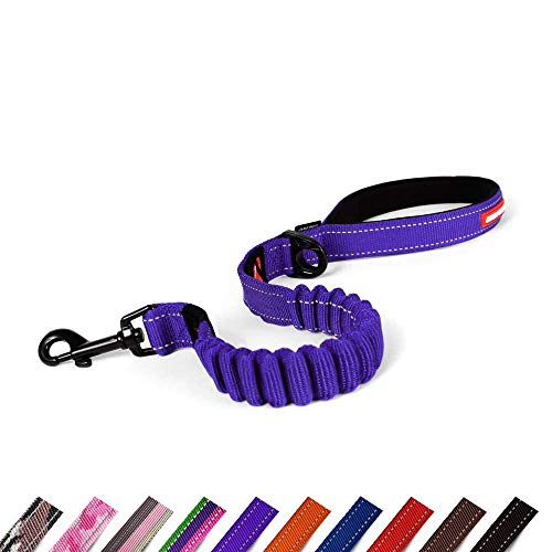 EzyDog Hundeleine für Große, Mittelgroße Hunde - Elastische Leine mit Bungee Ruckdämpfer - 'Zero Shock' Leine für Hunde - Hunde Leine Stabil, Reflektierend (64cm, Violett) von EzyDog