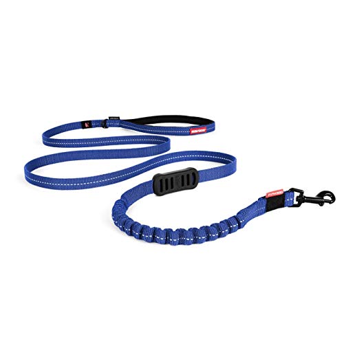 EzyDog Hundeleine für Kleine Hunde - Elastische Leine mit Bungee Ruckdämpfer - 'Zero Shock' Leine für Hunde - Hunde Leine Stabil, Reflektierend (180cm,Blau) von EzyDog