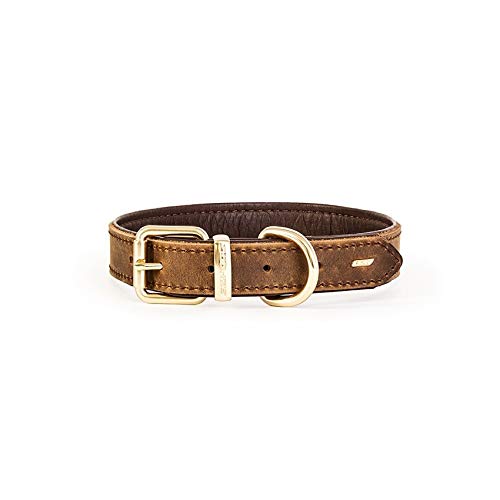 EzyDog Oxford Hundehalsband Leder- Premium Lederhalsband - Hunde Halsband für Kleine und Große Hunde, Naturleder, Verstellbares, Gepolstertes (S, Braun) von EzyDog