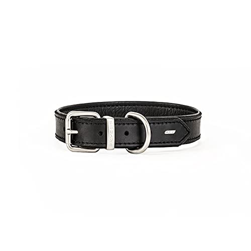 EzyDog Oxford Hundehalsband Leder- Premium Lederhalsband - Hunde Halsband für Kleine und Große Hunde, Naturleder, Verstellbares, Gepolstertes (XL, Schwarz) von EzyDog