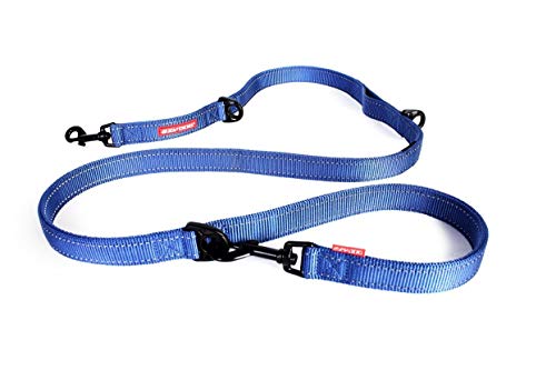 EzyDog Vario 6 Hundeleine, längenverstellbar, 91/152 cm, blau von EzyDog