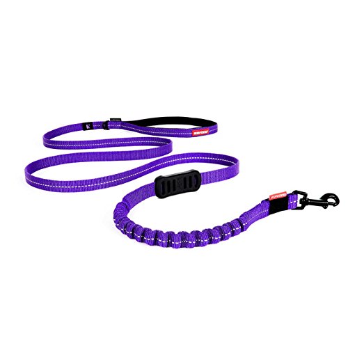 EzyDog Hundeleine für Kleine Hunde - Elastische Leine mit Bungee Ruckdämpfer - 'Zero Shock' Leine für Hunde - Hunde Leine Stabil, Reflektierend (180cm, (180cm, Violett) von EzyDog