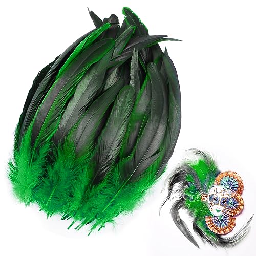 Ezydka 100 Stück Federn 20-25cm Hahnfedern, Federn Deko, Fasanenfeder, Federn zum Basteln, Naturfedern, Fasanenfedern, Bastelfedern, Federn Groß für Partymaskendekoration, Grüne von Ezydka
