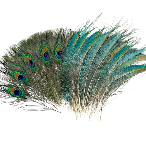 Ezydka Pfauenfedern 40 Stück Pfauenfeder Natürliche Pfauenfedern Lang, Künstliche Pfau Deko, Pfauenfedern Kaufen, Schöne Peacock Feather für Handwerk Party(25-30 cm und 30-40 cm) von Ezydka