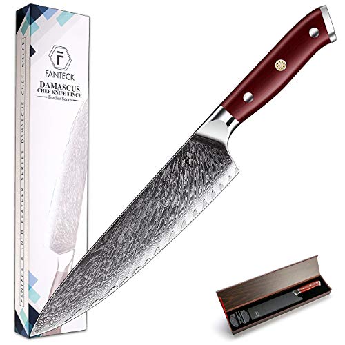 8 Zoll Scharf Kochmesser FANTECK Damaskus Küchenmesser, Chefmesser aus High Carbon 67 Schichten VG-10 Edelstahl 20cm Scharf Klinge, Japanisches Damastmesser [Geschenkbox]-Rose Holzgriff von F FANTECK