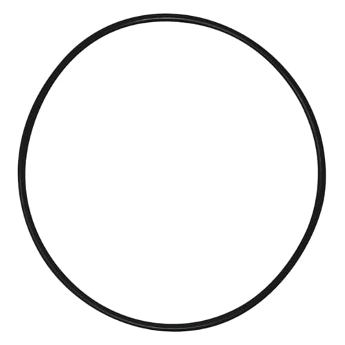 F Fityle Auslaufsicherer Filtertank-O- R0357800, Ersatzgummi für Dev48, Del48, Professional von F Fityle