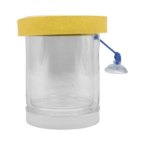 F Fityle Floating Isolation Box Aquarium Breeder Feeder transparent Laichbox mit Saugbecher für Guppy Clownfish, L von F Fityle