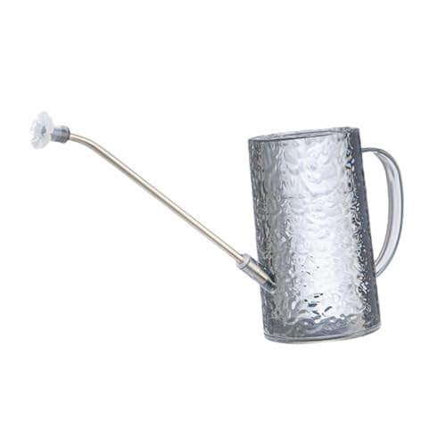 F Fityle Gießkanne mit langem Ausguss, Mehrzweck-Gießkanne, tragbar, 1 l, Gießkanne, Sprinklerkopf für Blumen, Pflanzen, Büro, Bonsai, Innenbereich, Grau von F Fityle