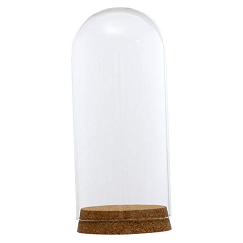 F Fityle Glashaube Glasglocke Glassturz mit Holzboden DIY Landschaften Fairy Garten Terrarium, 8x18cm F Fityle Glashaube Glasglocke Glassturz mit Holzboden DIY Landschaften Fairy Garten Terrarium, 8x18cm von F Fityle