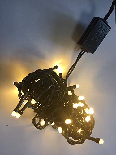 LED Mini-Lichterkette 35er warmweiß / grün ein Strang innen 09267 von F-H-S International GmbH & Co. KG