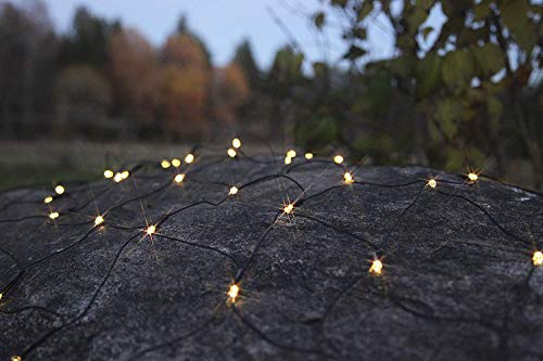 Lichternetz 3x3 m, 160 LED von F-H-S International GmbH & Co. KG