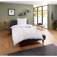 fan Microfaserbettdecke "Komfort Plus Warm, Bettdecken für den Winter, Made in Germany, Decke" extrawarm Füllung 100% Polyester 1 Stk. tlg. Extrawarm für den "Frierer", 135x200, 155x220 cm und weitere Größen von Fan