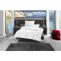 fan Daunenbettdecke "f.a.n. Canada" normal 1 Stk. tlg. von Fan