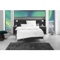 fan Gänsedaunenbettdecke "f.a.n. Island" extrawarm 1 Stk. tlg. von Fan