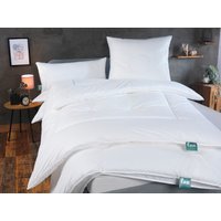 fan Kunstfaserbettdecke "First Class", normal, Bezug 100% Baumwolle, (1 St.) von Fan