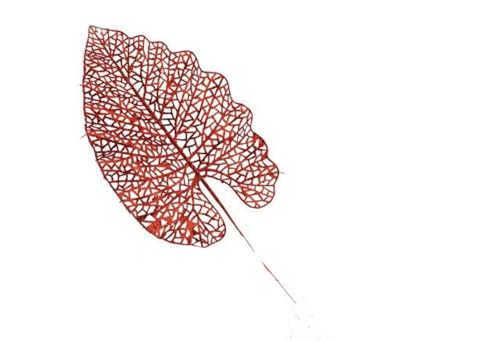 F.G.F. Import Export Linie MOD.N Weihnachtsblatt rot 37 cm, wie Foto, Einheitsgröße von F.G.F. IMPORT EXPORT S.R.L.