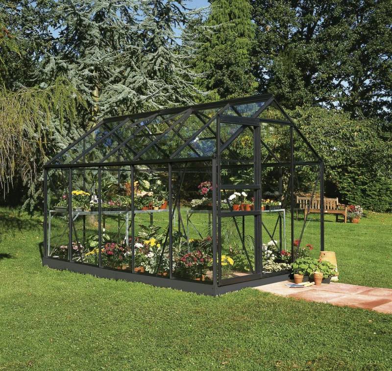 Halls Gewächshaus Popular - 3,19 x 1,93 m - 6,2 m² (Gr. 3) 3 mm Blankglas schwarz von Halls