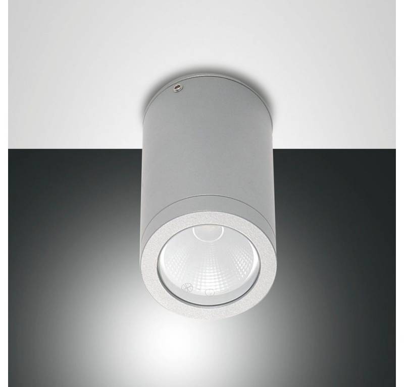 FABAS LUCE Außen-Wandleuchte LED Spot Uma für den Außenbereich, IP54, silber, LED von FABAS LUCE