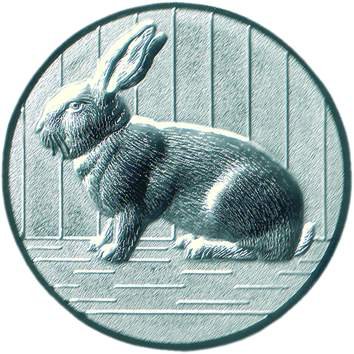 Pokal Emblem Kaninchen 3D - 50 mm/silber Pokal Emblem Kaninchen 3D - 50 mm/silber von FABRIKSTORES GmbH