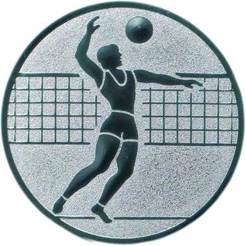 Pokal Emblem Volleyball - 50 mm/silber Pokal Emblem Volleyball - 50 mm/silber von FABRIKSTORES GmbH