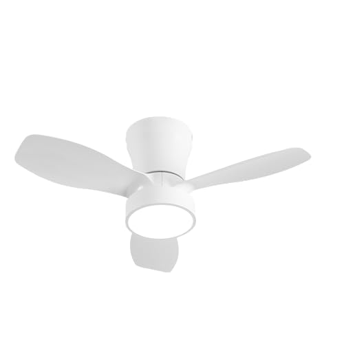 FABRILAMP Piton DC-Ventilator, 24 W, 2160 lm, Weiß, 3 Geschwindigkeitsstufen, 62D, 3000-4000-6500 K, Fernbedienung + Reg. Intensität + Timer FABRILAMP Piton DC-Ventilator, 24 W, 2160 lm, Weiß, 3 Geschwindigkeitsstufen, 62D, 3000-4000-6500 K, Fernbedienung + Reg. Intensität + Timer von FABRILAMP
