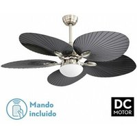 Dc Chaw Deckenventilator 24 w, schwarzes Nickel, 5 Flügel von FABRILAMP