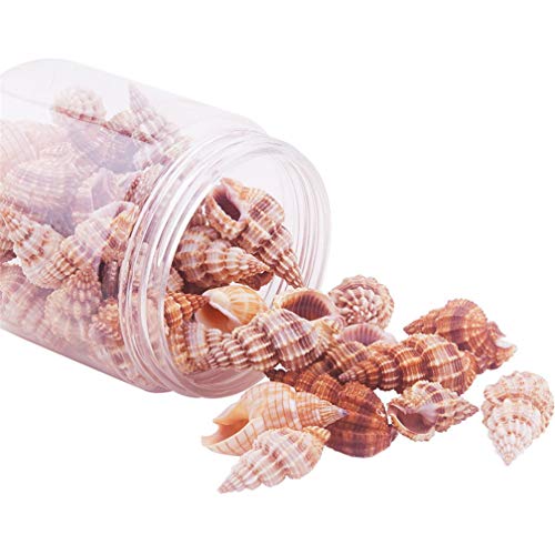 Natürliche Spiralperlen Muscheln Muscheln Strand Muscheln Charms mit Löchern für DIY Basteln Schmuck machen Zubehör Hochzeit Party Home Decor von FABSELLER