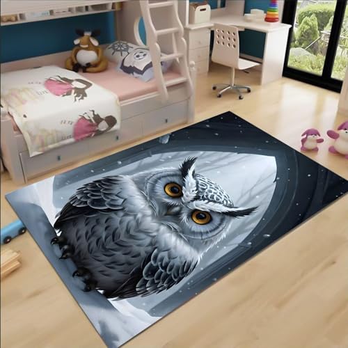 FABTOP Eulen Teppich Wohnzimmer 160x230cm Schlafzimmer kinderteppich Eulen kinderzimmer mädchen Junge von FABTOP