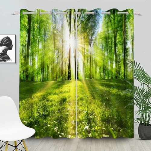FABTOP Wald Vorhänge Bäume Natürliche Landschaft Ösen Gardinen Mit Blickdichte Thermo Vorhang Wald-Verdunklungsvorhänge Dschungel Natur, Landschaft (1,150×166BxH (75×166cm×2)) von FABTOP