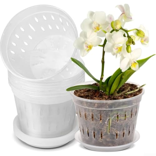 Convenient Gardening Solution 125 transparente Orchideentöpfe mit integrierter Drainagefunktion von FACAIIO