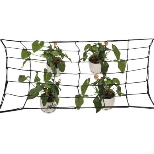 Ein funktionales und zuverlässiges Set aus elastischen Rankgittern mit zusätzlichem Haken, fördert das gesunde Wachstum von Obst und Blumen im Innenbereich (100 x 100 cm) von FACAIIO